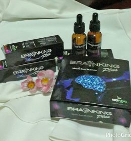 brainking plus bigking science
